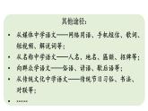 初中語文新人教部編版七年級下冊第二單元專題學習活動 我的語文生活教學課件2025春