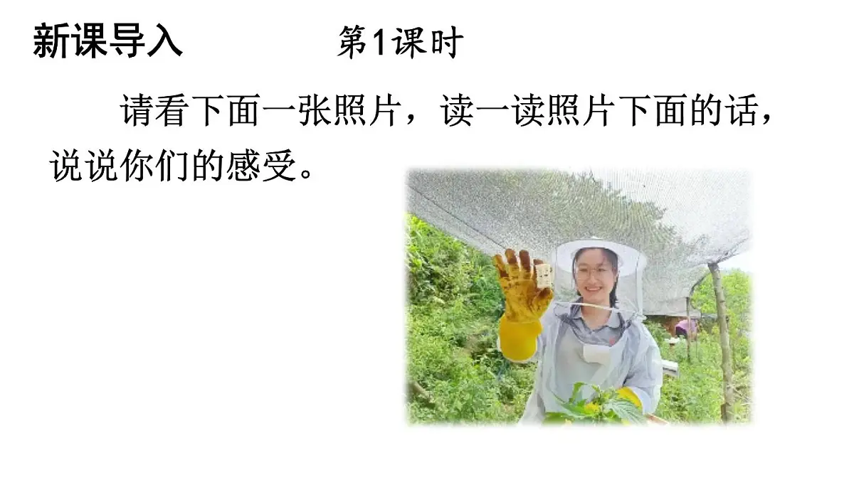 初中语文新人教部编版七年级下册第四单元15 青春之光教学课件2025春第2页