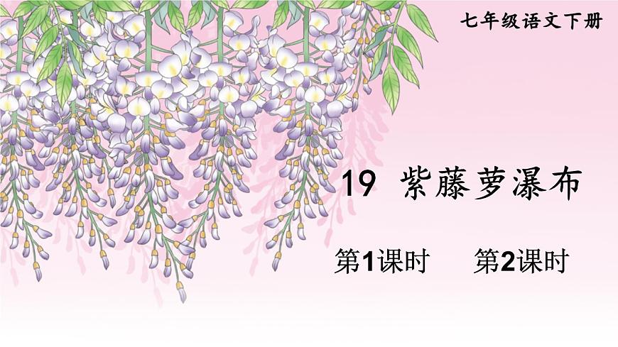 初中语文新人教部编版七年级下册第五单元19 紫藤萝瀑布教学课件2025春第1页