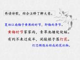 部編版（2024）2024-2025年第二學(xué)期 語文 七年級(jí)下冊(cè) 第六單元課外古詩詞誦讀《約客》課件