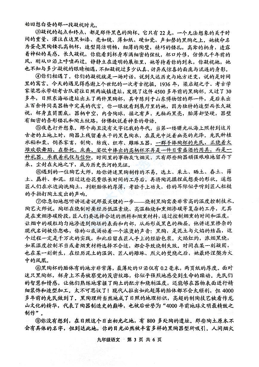 【9语3月月考】合肥市庐江县2024-2025学年九年级下学期3月月考语文试题第3页