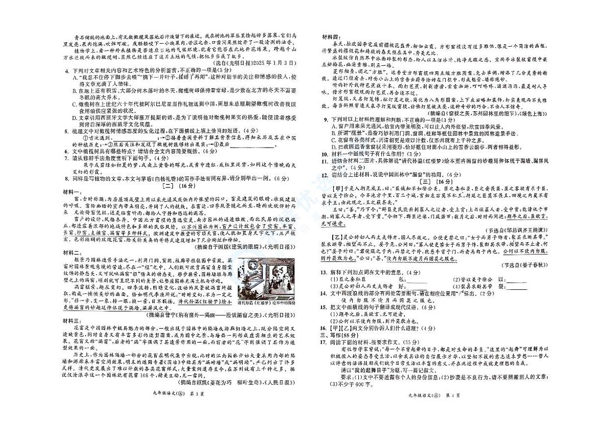 【9语一模】2025年宿州市埇桥区宿州市第九中学中考一模语文试题第2页