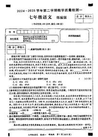 河南省郑州市新郑市2024-2025学年七年级下学期3月月考语文试题及答案