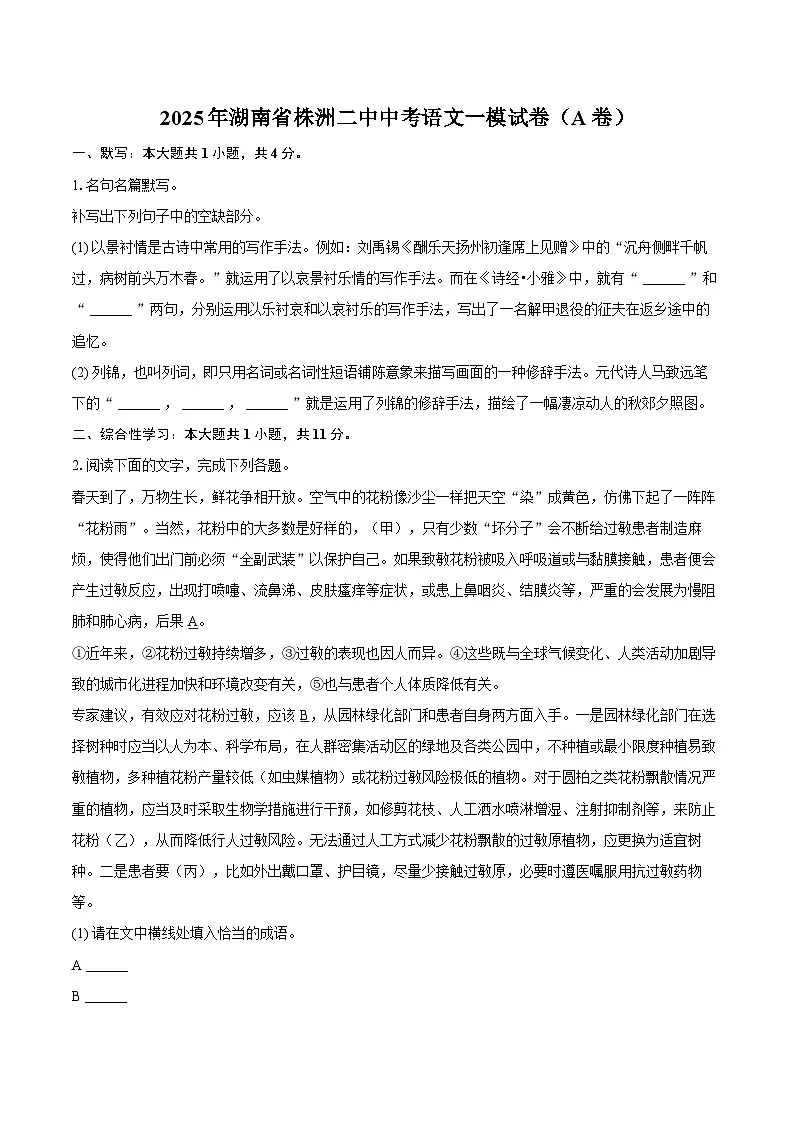 2025年湖南省株洲二中中考语文一模试卷（A卷）第1页