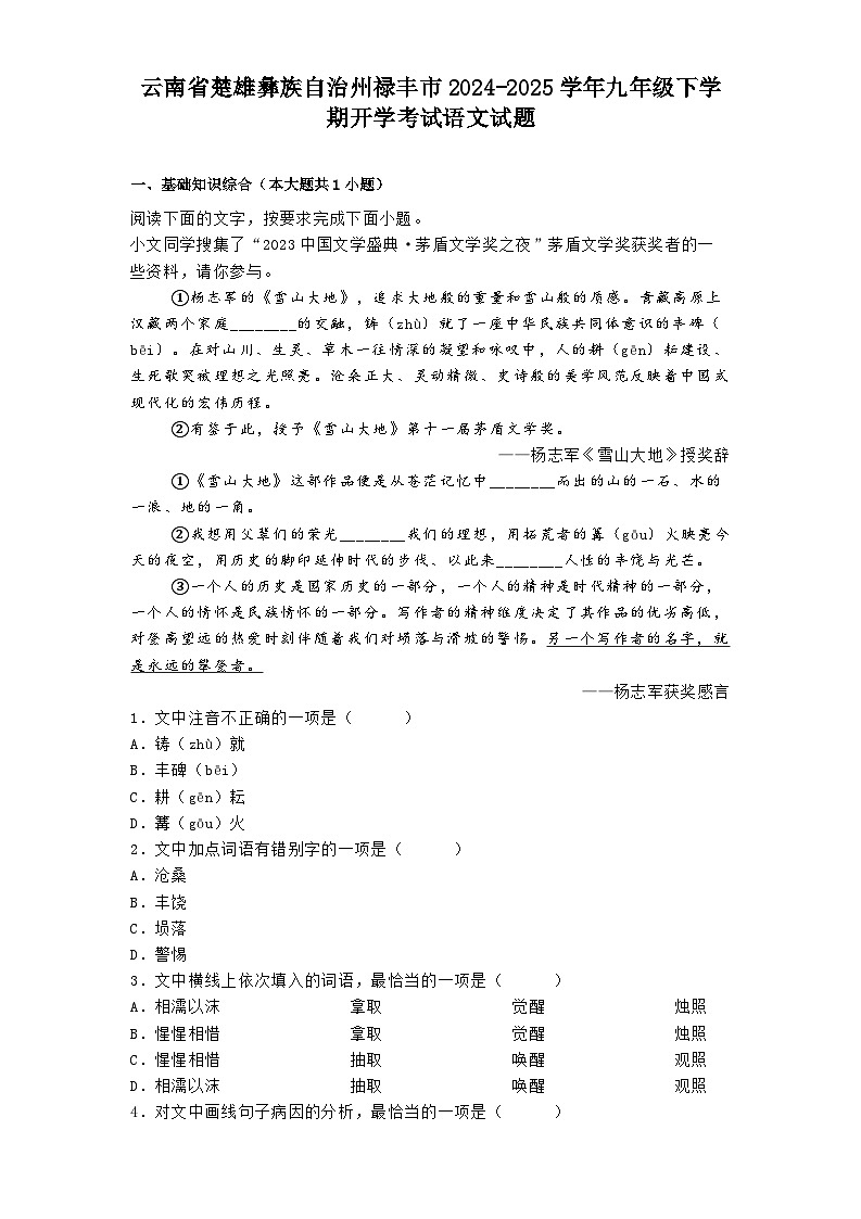 云南省楚雄彝族自治州禄丰市2024-2025学年九年级下学期开学考试语文试题第1页