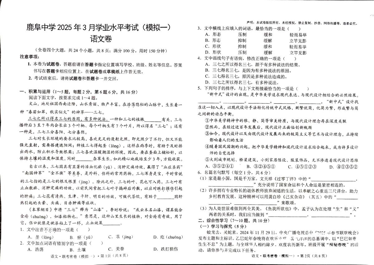 云南省石林县鹿阜中学2024－2025学年九年级下学期3月月考语文试卷第1页