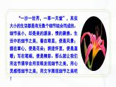 第三單元 寫作 抓住細(xì)節(jié) - 初中語文七年級下冊 同步教學(xué)課件+教學(xué)設(shè)計(jì)+導(dǎo)學(xué)案+寫作素材（人教部編版2024）