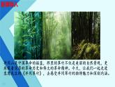 第18課《井岡翠竹》課件-2024-2025學(xué)年統(tǒng)編版語文七年級下冊