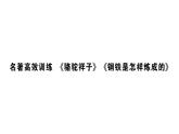 初中語文新人教部編版七年級下冊第六單元名著高效訓練 《駱駝祥子》《鋼鐵是怎樣煉成的》 作業(yè)課件2025春
