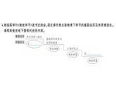 初中語文新人教部編版七年級下冊第六單元名著高效訓練 《駱駝祥子》《鋼鐵是怎樣煉成的》 作業(yè)課件2025春