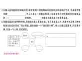 初中語文新人教部編版七年級下冊第六單元名著高效訓練 《駱駝祥子》《鋼鐵是怎樣煉成的》 作業(yè)課件2025春