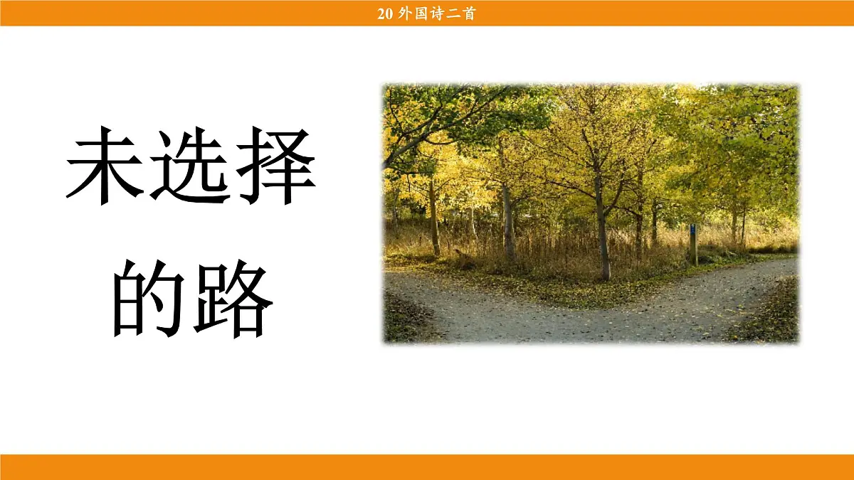2《未选择的路》第3页