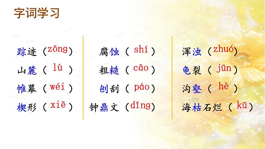 部编版 语文 八年级下册 2024-2025年第二学期 8.《时间的脚印》课件第8页
