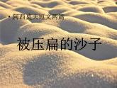 部編版 語文 八年級下冊 2024-2025年第二學(xué)期 6.《被壓扁的沙子》課件