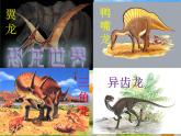 部编版 语文 八年级下册 2024-2025年第二学期 6.《恐龙无处不有》课件