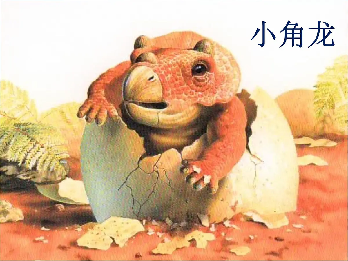 部编版 语文 八年级下册 2024-2025年第二学期 6.《恐龙无处不有》课件第7页