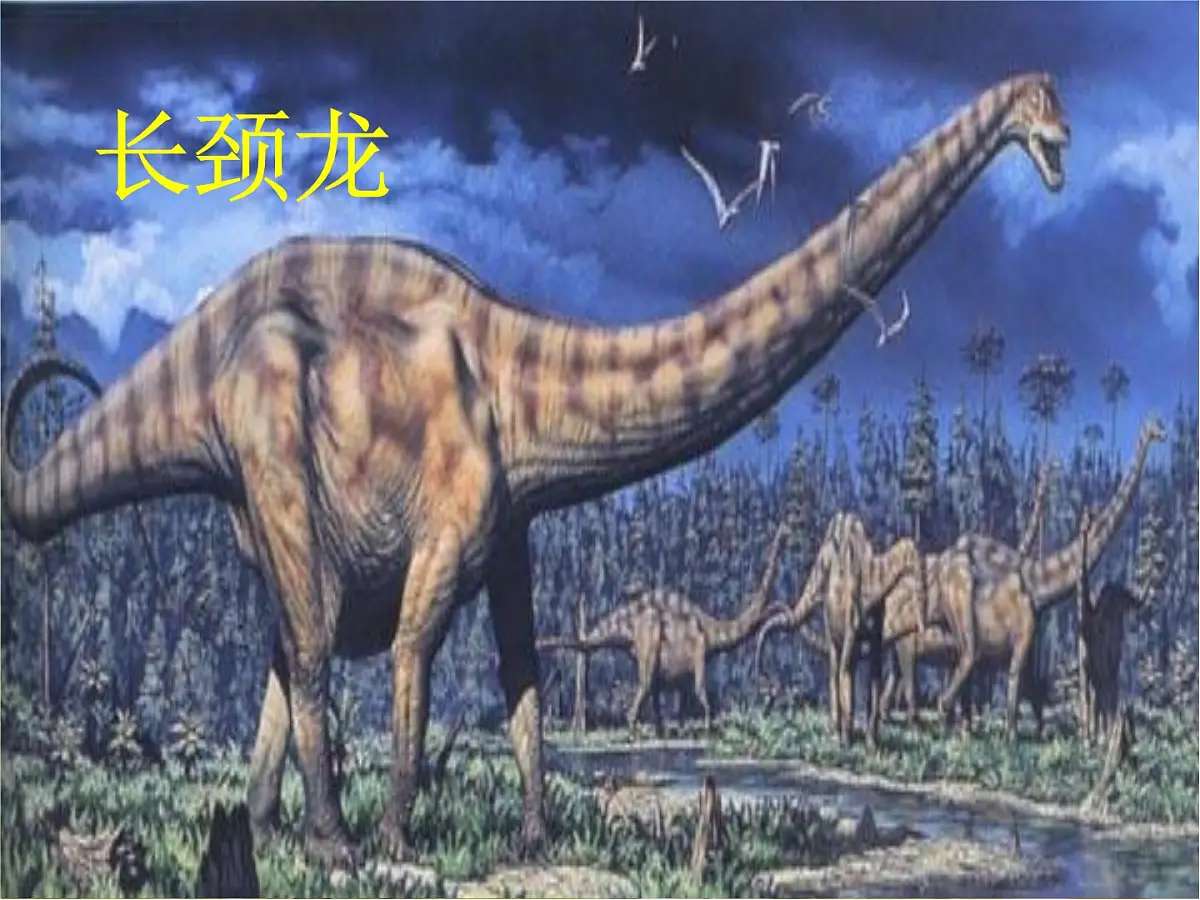 部编版 语文 八年级下册 2024-2025年第二学期 6.《恐龙无处不有》课件第8页