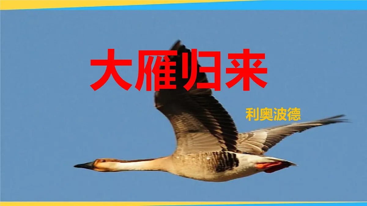 部编版 语文 八年级下册 2024-2025年第二学期 7.《大雁归来》课件第1页