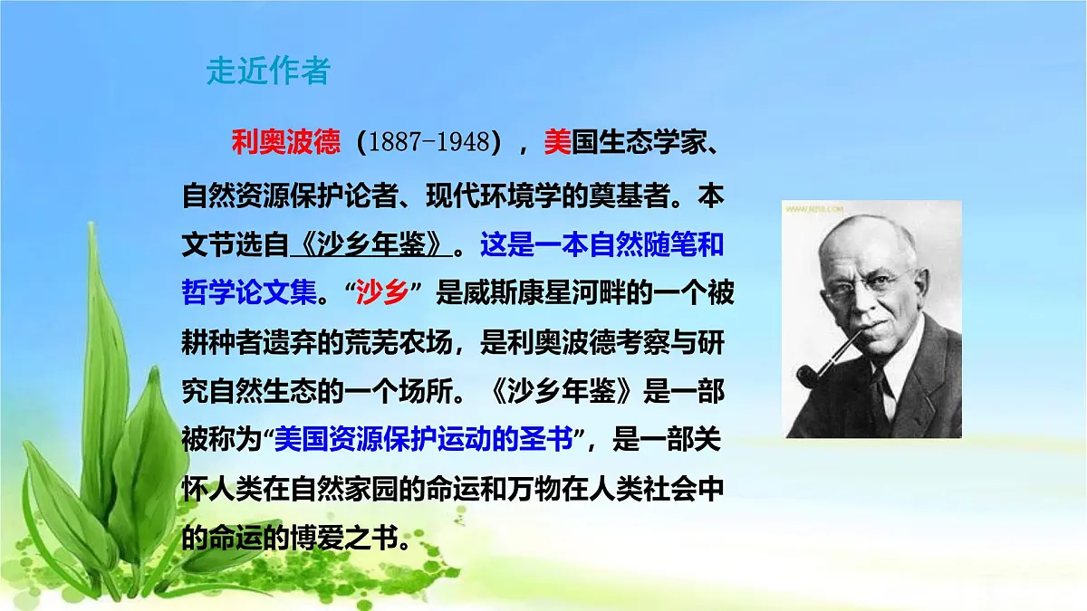 部编版 语文 八年级下册 2024-2025年第二学期 7.《大雁归来》课件第3页