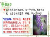 部編版（2024）2024-2025年第二學(xué)期 語(yǔ)文七年級(jí)下冊(cè)-第六單元-寫作-課件