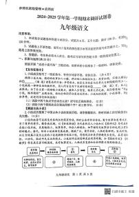 河南省平顶山市2024-2025学年九年级上学期期末语文试卷
