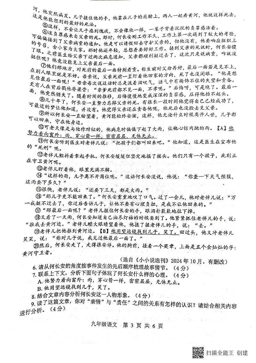 平顶山市2024-2025第一学年期末调研试题九年级语文第3页