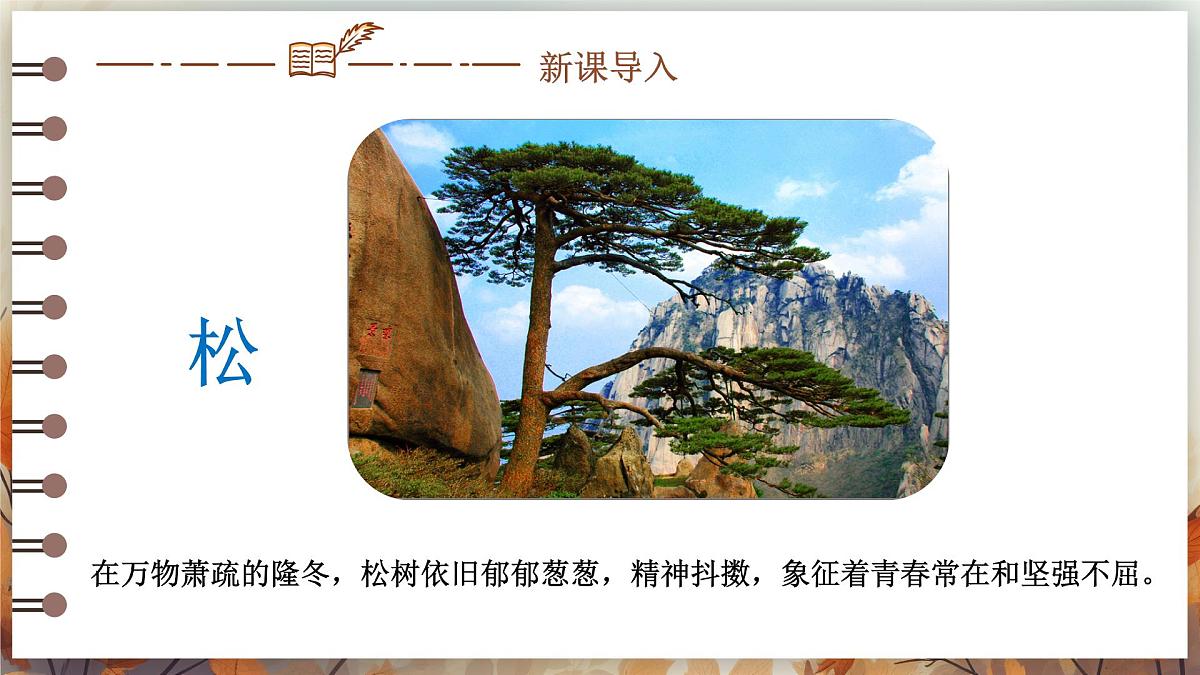 第17课《陋室铭》课件2024-2025学年统编版语文七年级下册第2页