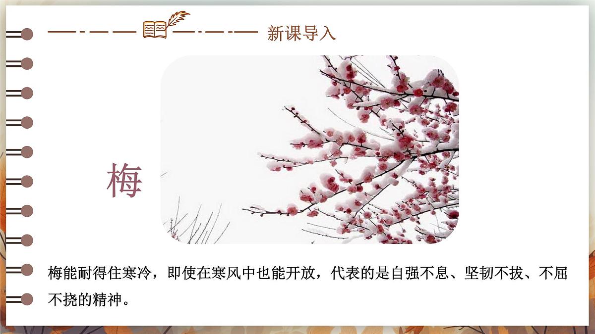 第17课《陋室铭》课件2024-2025学年统编版语文七年级下册第4页