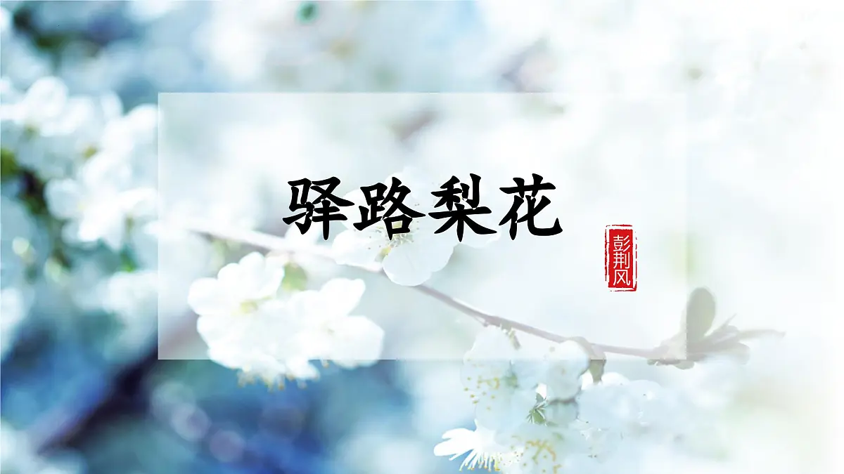 第14课《驿路梨花》课件-七年级语文下册（统编版2024)第1页