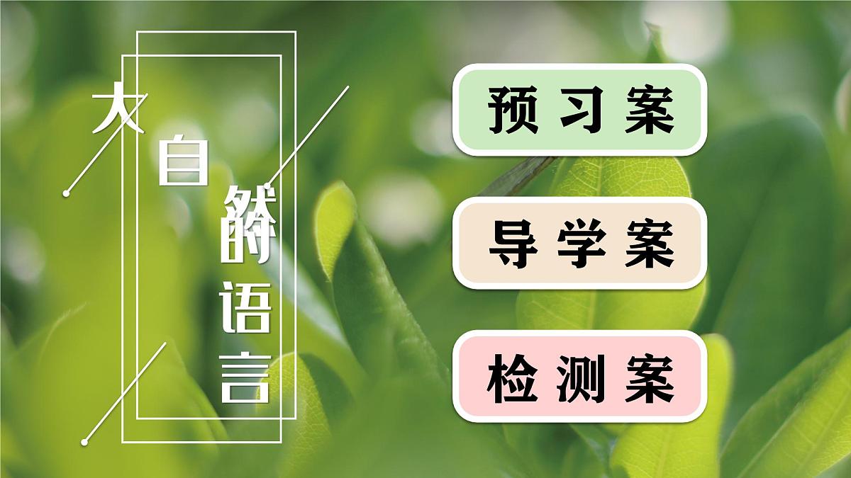 5大自然的语言（预习、导学、检测案）第2页