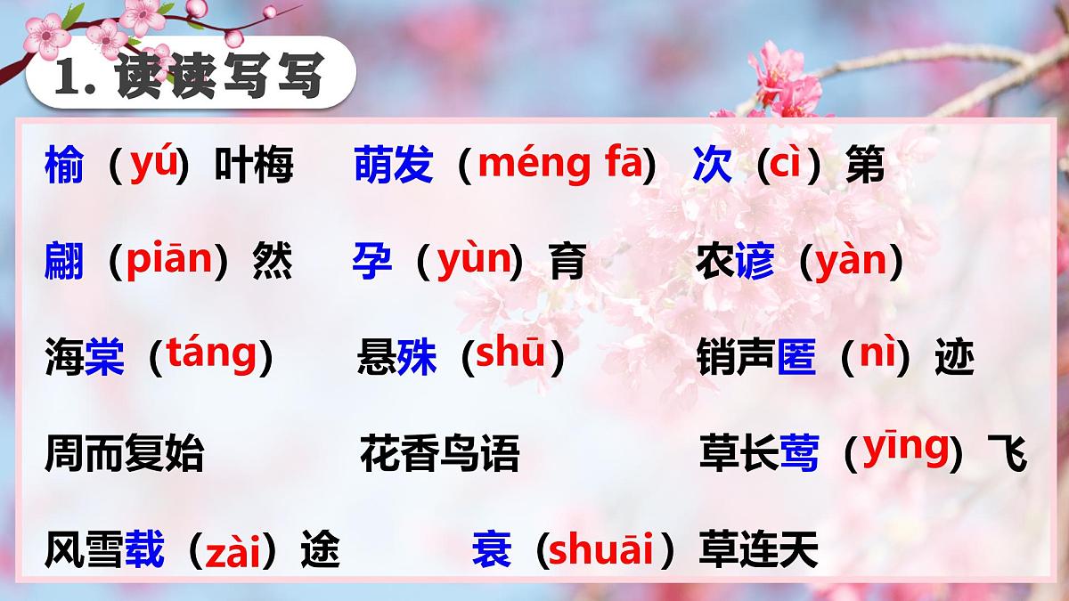 5大自然的语言（预习、导学、检测案）第5页