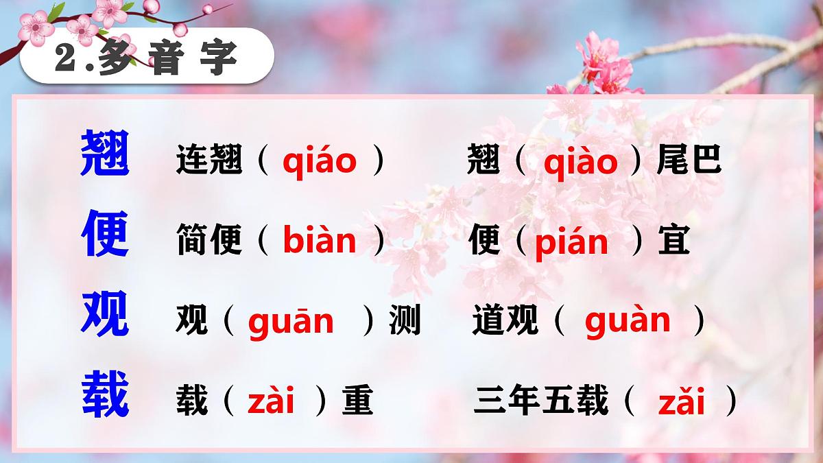 5大自然的语言（预习、导学、检测案）第6页