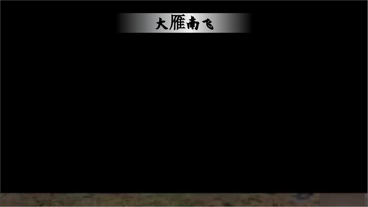 7《大雁归来》第2页