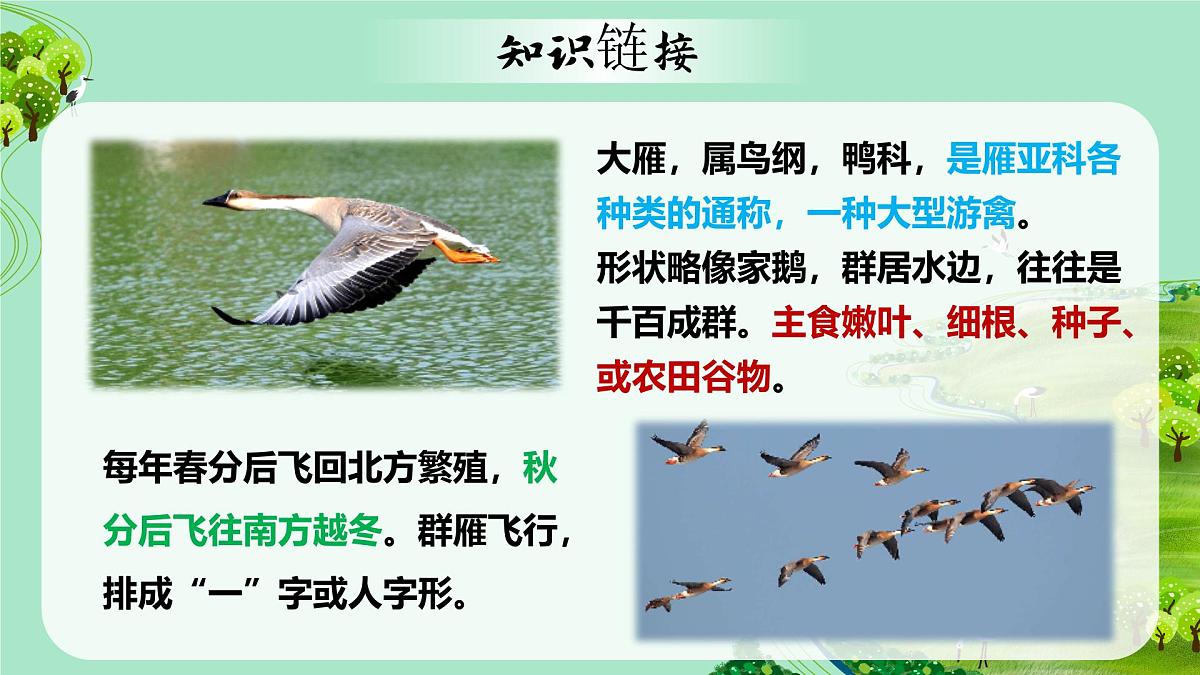 7《大雁归来》第6页