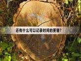 部編版語文八年級下冊PPT課件+素材 第二單元《時間的腳印》