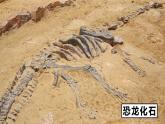 部編版語文八年級下冊PPT課件+素材 第二單元《時間的腳印》