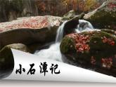部編版語文八年級下冊PPT課件+素材 第三單元《小石潭記》