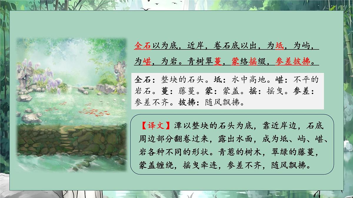 第10课《小石潭记》课件-2024-2025学年统编版语文八年级下册 (2)第6页