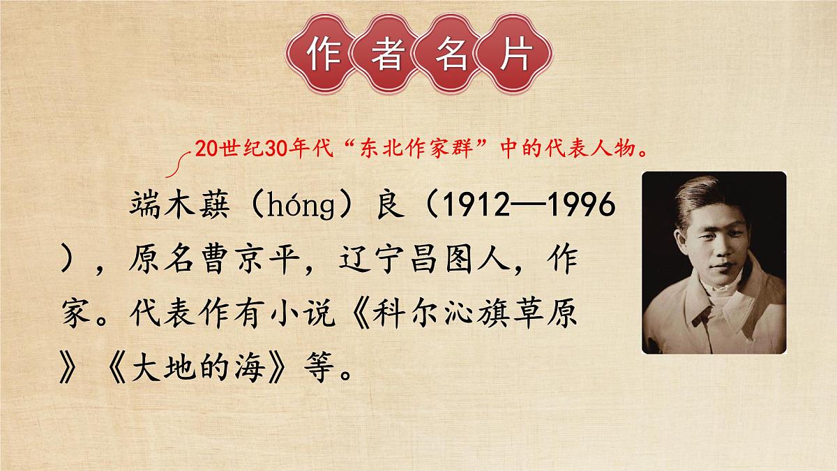 《土地的誓言》课件第4页