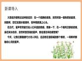 【核心素養(yǎng)優(yōu)質(zhì)課】部編版語文七年級下冊第三單元 課外古詩詞誦讀 春夜洛城聞笛（課件+同步教學(xué)設(shè)計）