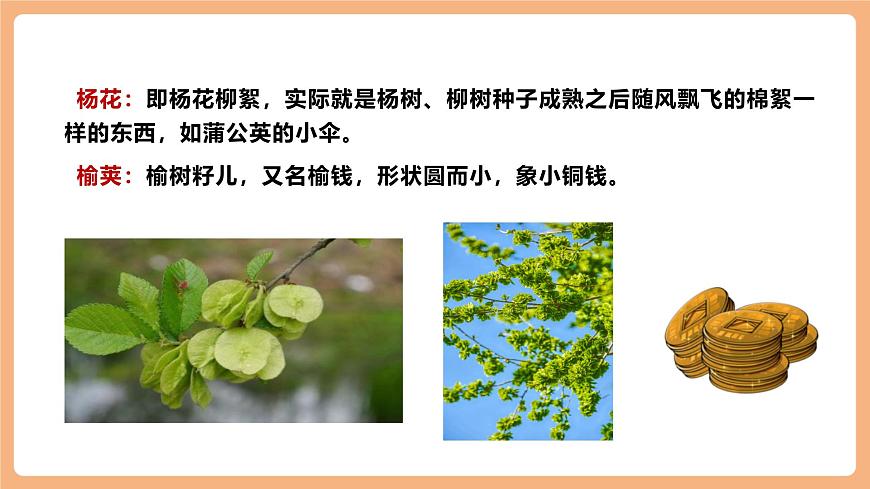 人教统编版语文七下 第三单元 课外古诗词诵读 晚春 课件第5页