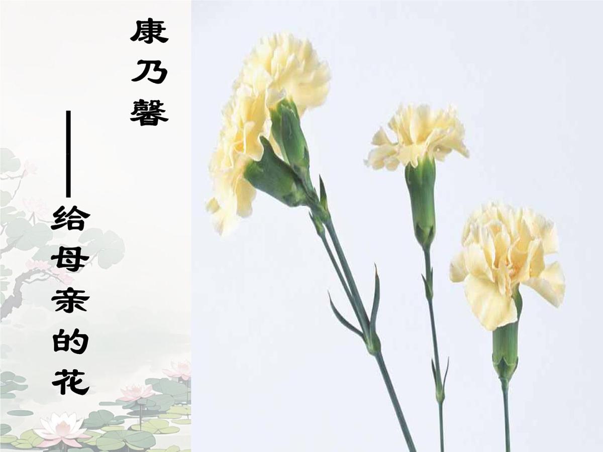 爱莲说 课件 初中语文人教部编版（2024）七年级下册第2页