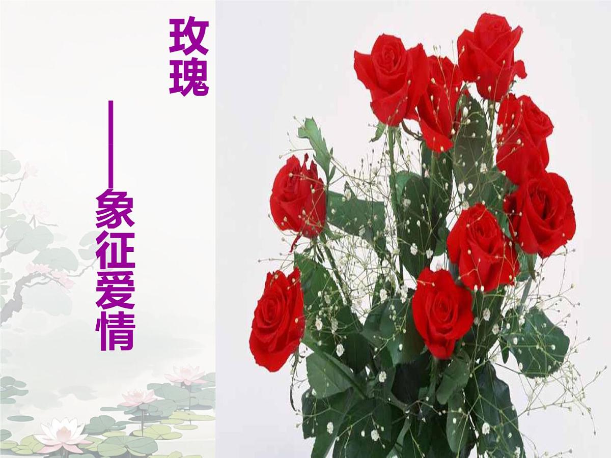 爱莲说 课件 初中语文人教部编版（2024）七年级下册第3页