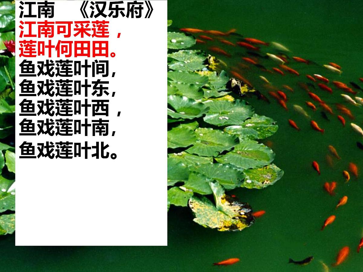爱莲说 课件 初中语文人教部编版（2024）七年级下册第8页