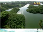 15 青春之光  課件 初中語文人教部編版（2024）七年級下冊