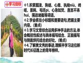 15 青春之光  課件 初中語文人教部編版（2024）七年級下冊