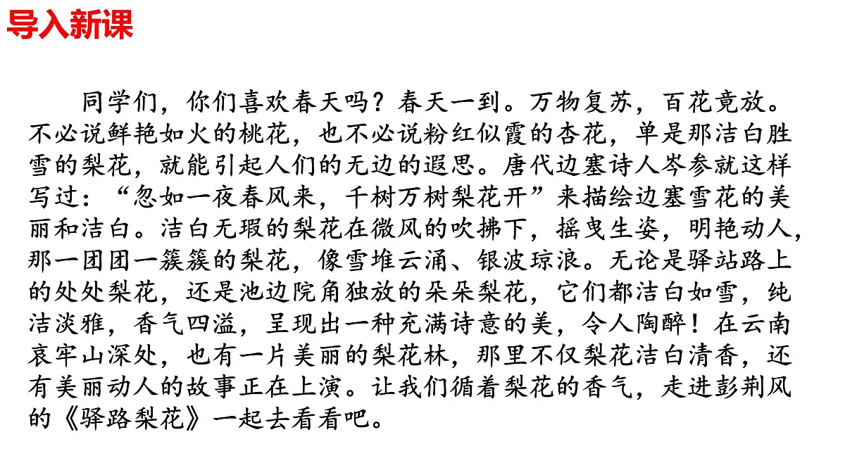 2024-2025学年统编版语文七年级下册第14课《驿路梨花》课件第1页