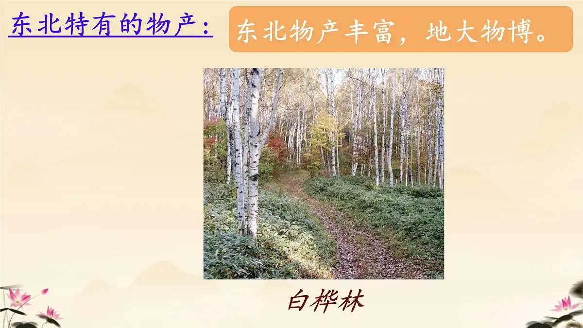 初中 语文 人教部编版（2024）七年级下册（2024） 第二单元8.土地的誓言 课件第5页