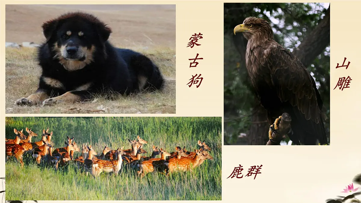 初中 语文 人教部编版（2024）七年级下册（2024） 第二单元8.土地的誓言 课件第6页