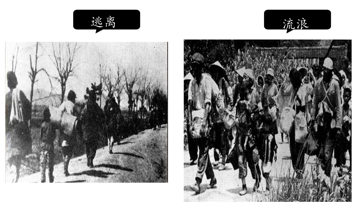 初中 语文 人教部编版（2024）七年级下册（2024） 第二单元8.土地的誓言 课件第4页